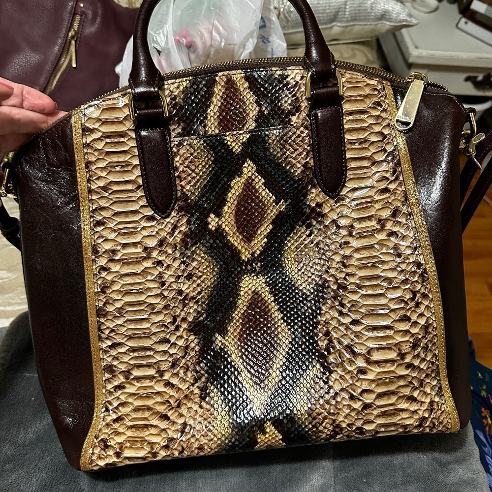 Brahmin Purse & wallet